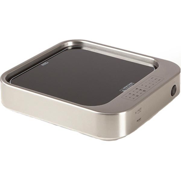Rieber K-POT - 2/3 1600 W - RVS